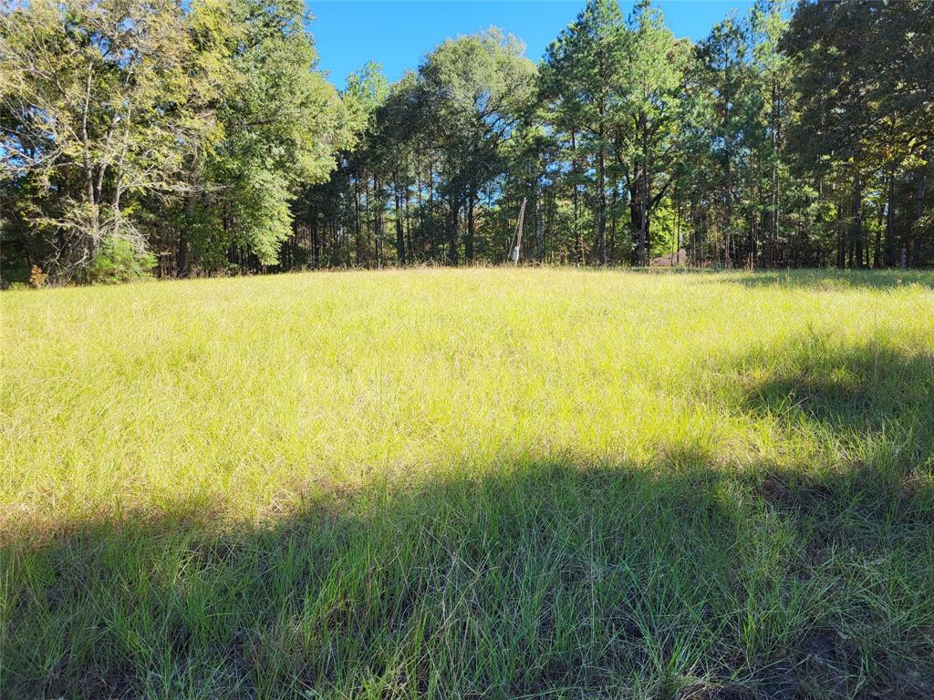 500 S Pine Lake Road, Montgomery, Texas image 13