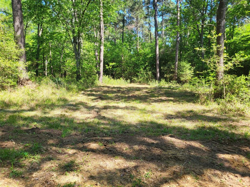 500 S Pine Lake Road, Montgomery, Texas image 36
