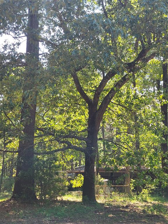500 S Pine Lake Road, Montgomery, Texas image 38