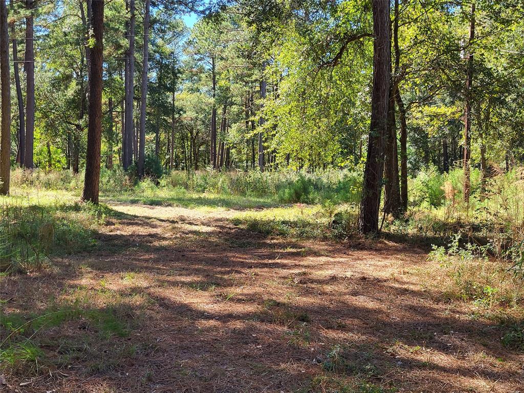 500 S Pine Lake Road, Montgomery, Texas image 26