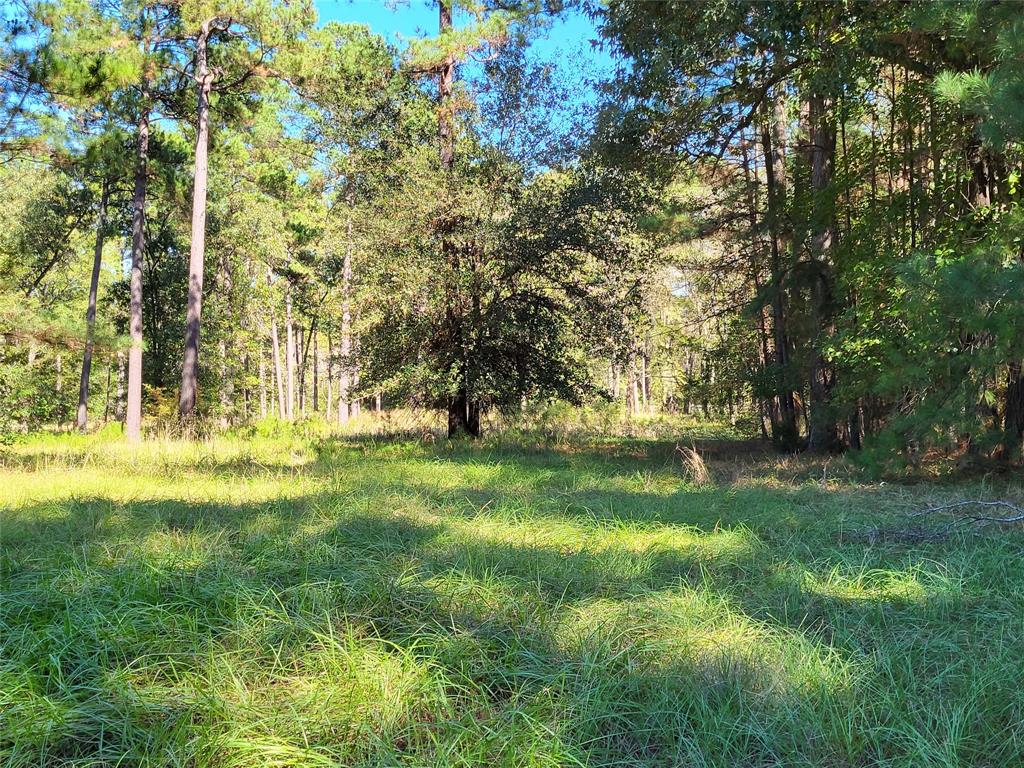 500 S Pine Lake Road, Montgomery, Texas image 20