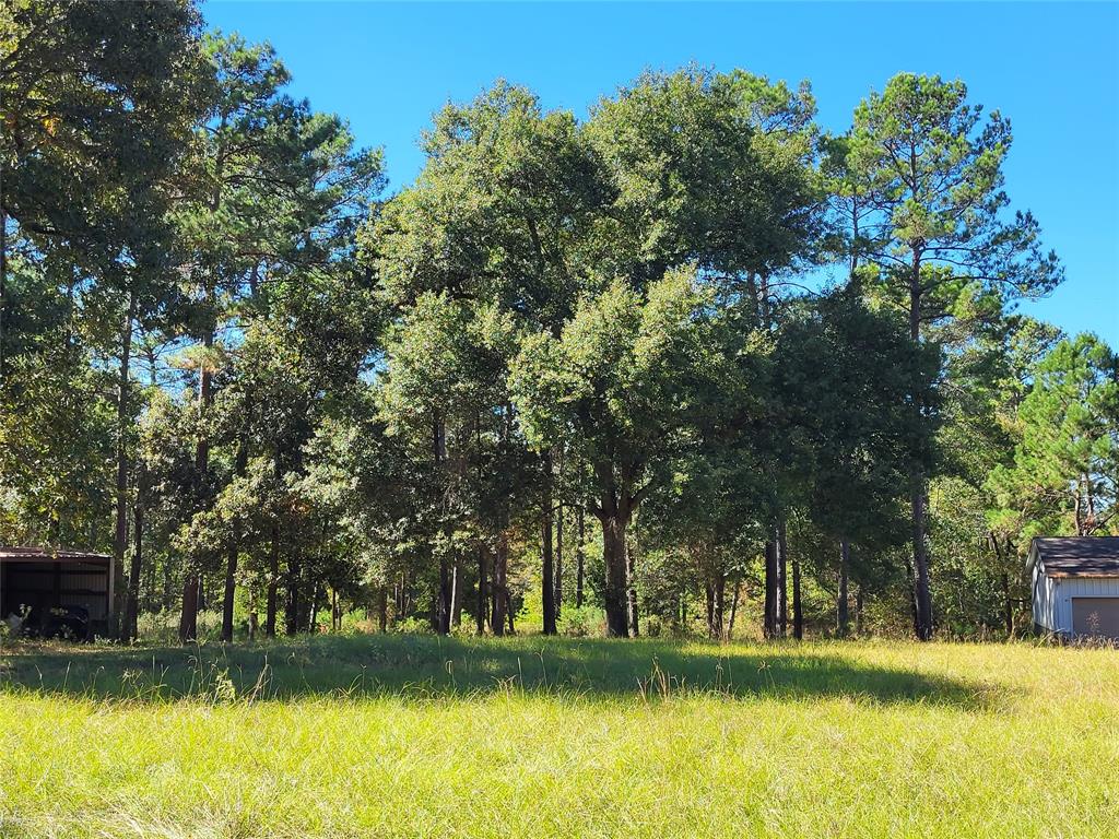 500 S Pine Lake Road, Montgomery, Texas image 21