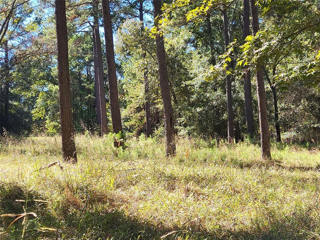 500 S Pine Lake Road, Montgomery, Texas image 16