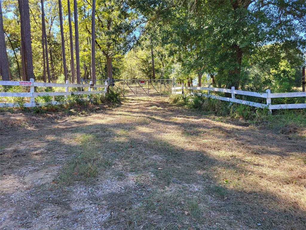 500 S Pine Lake Road, Montgomery, Texas image 4