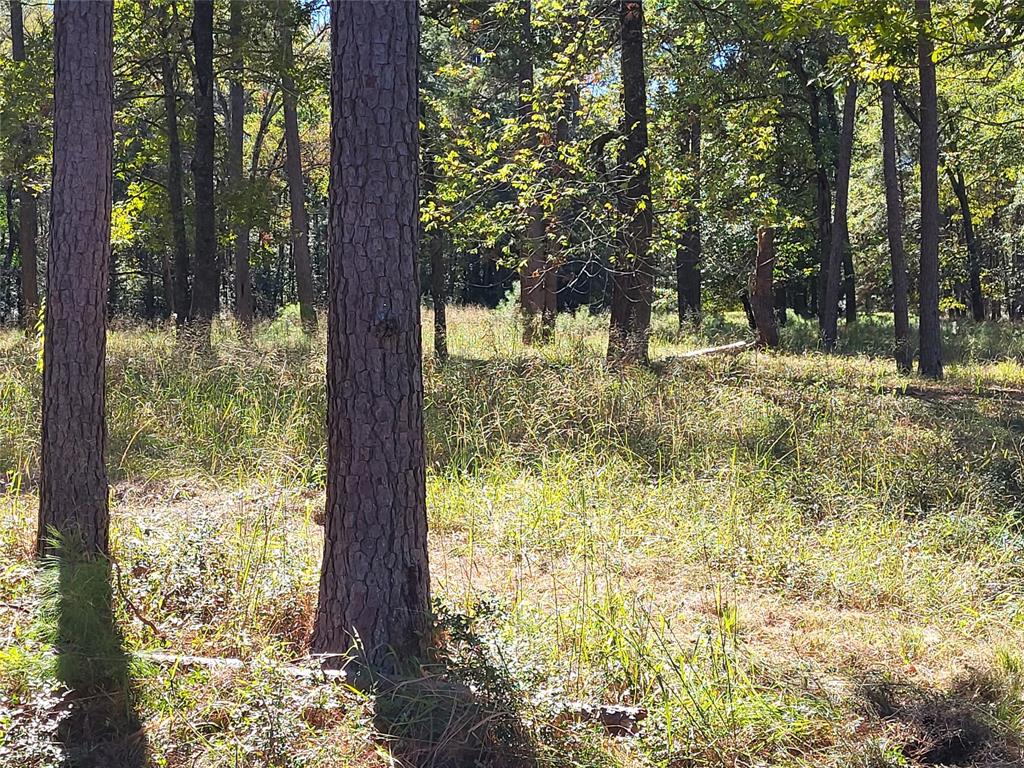 500 S Pine Lake Road, Montgomery, Texas image 11