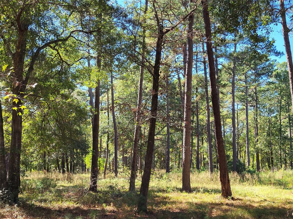 500 S Pine Lake Road, Montgomery, Texas image 25