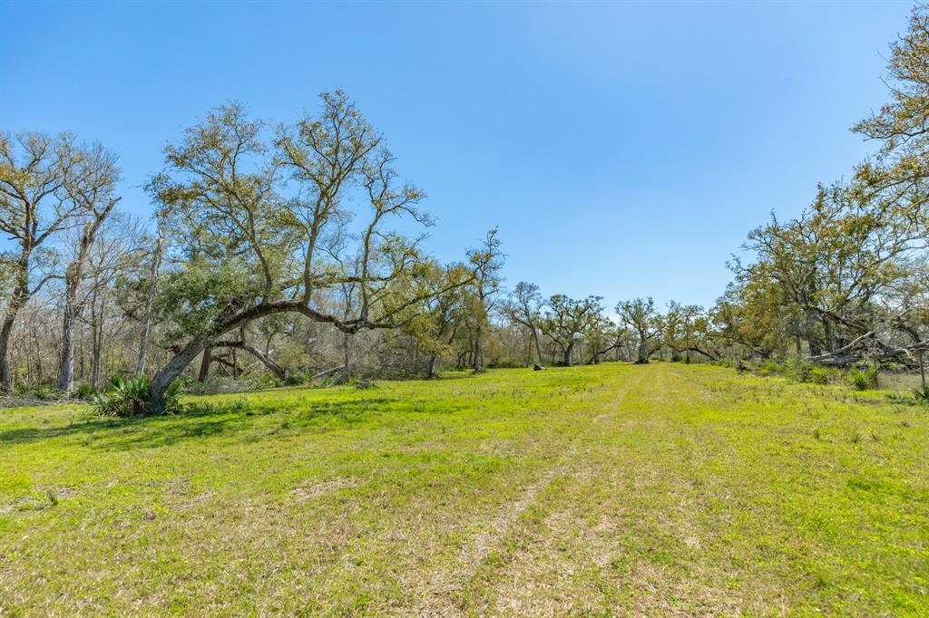 7827 County Road 400, Brazoria, Texas image 48