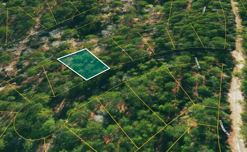 Lot 136 Sugi Lane, Brookeland, Texas image 2