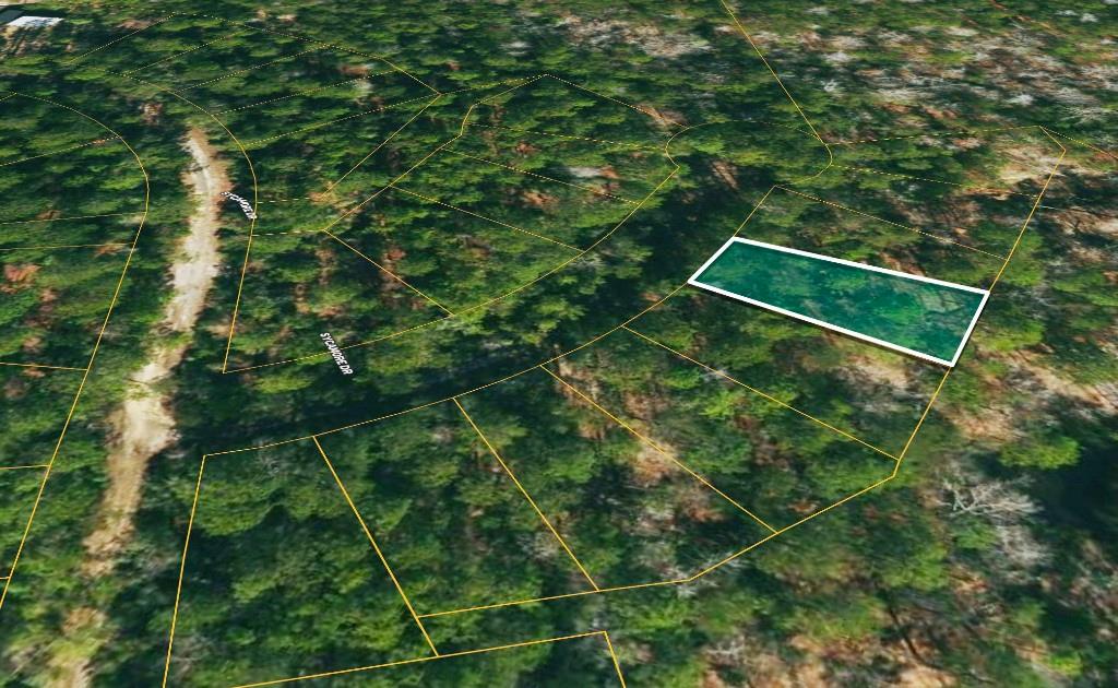 Lot 136 Sugi Lane, Brookeland, Texas image 3