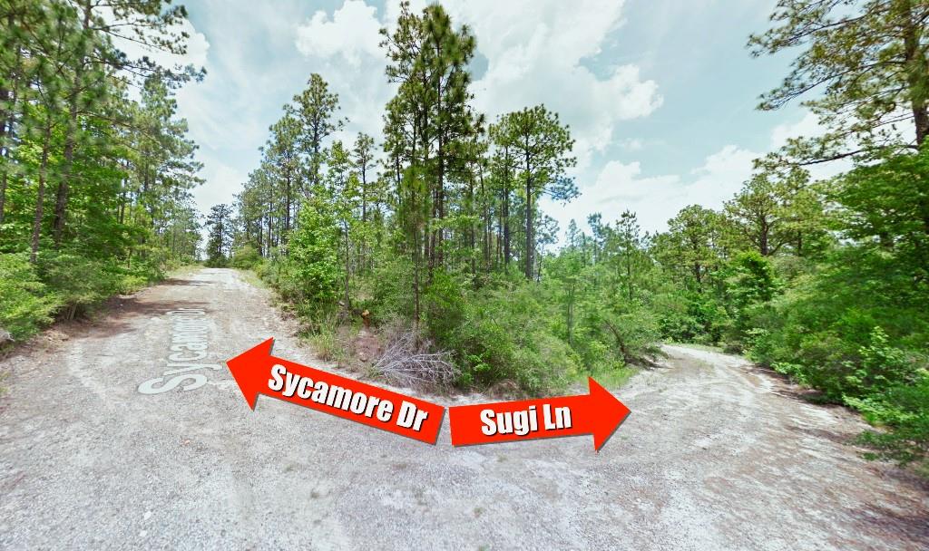 Lot 136 Sugi Lane, Brookeland, Texas image 4