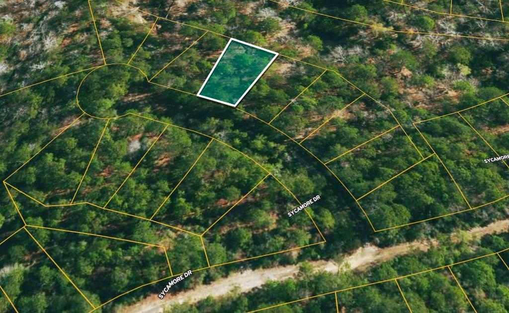Lot 136 Sugi Lane, Brookeland, Texas image 1