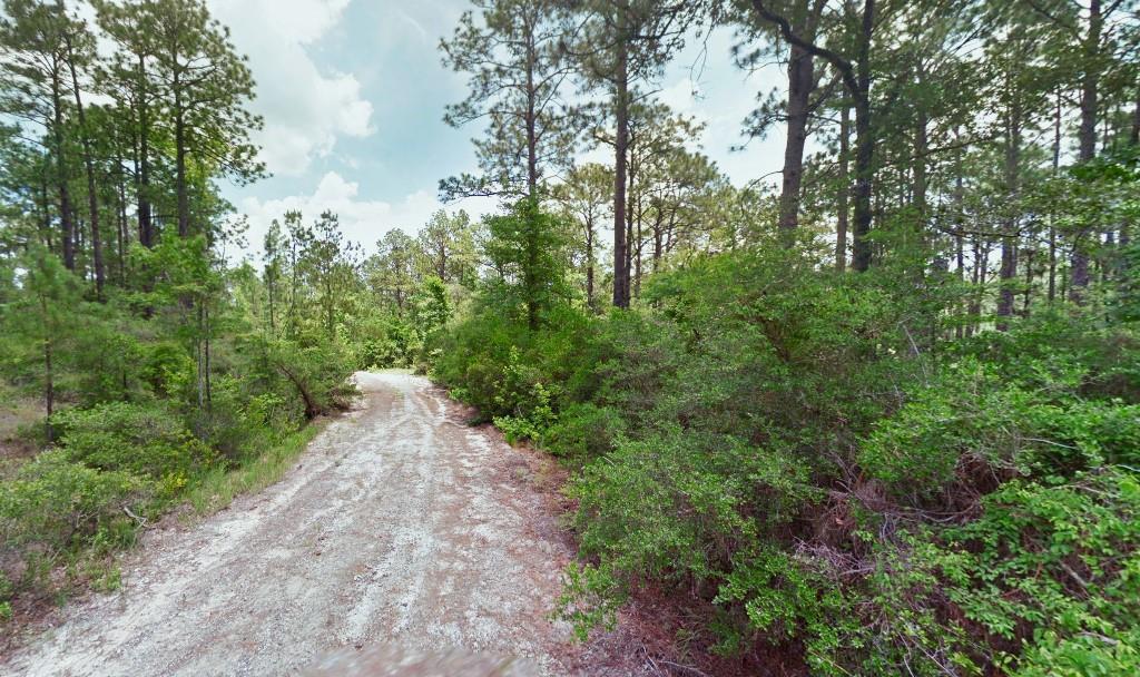 Lot 136 Sugi Lane, Brookeland, Texas image 6