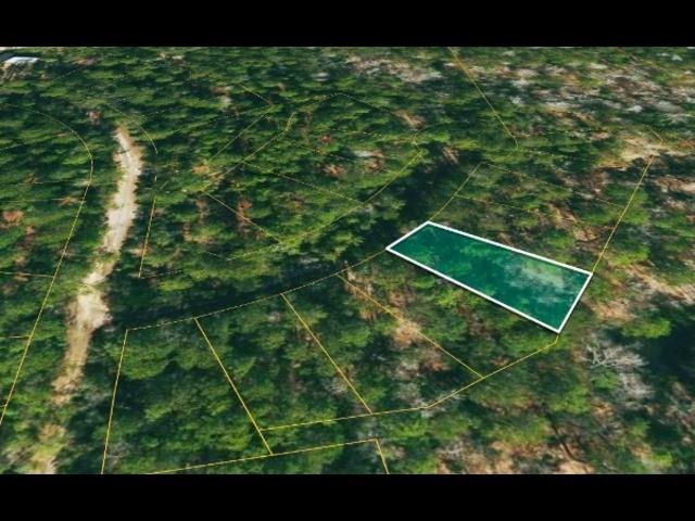 Lot 136 Sugi Lane, Brookeland, Texas image 3