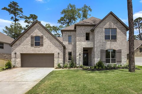 Single Family Residence in Conroe TX 233 Liatris Court.jpg