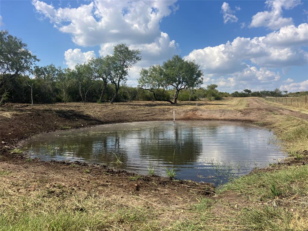 169 Bobwhite Trail, Beeville, Texas image 8