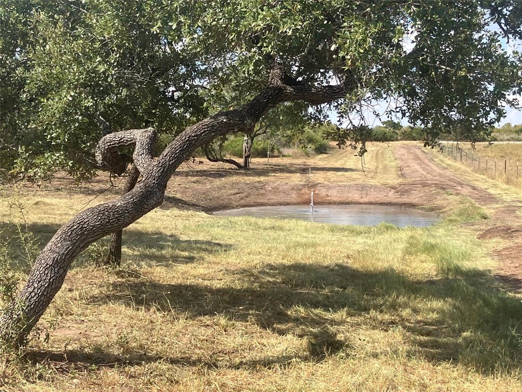 169 Bobwhite Trail, Beeville, Texas image 12