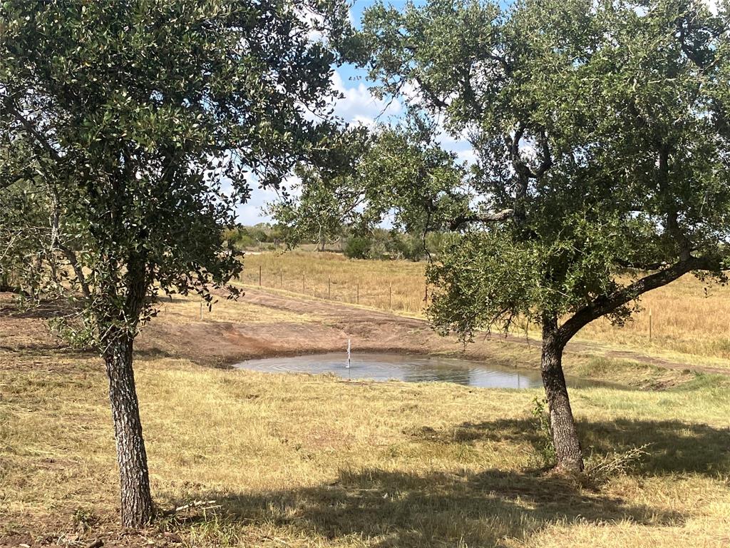 169 Bobwhite Trail, Beeville, Texas image 4