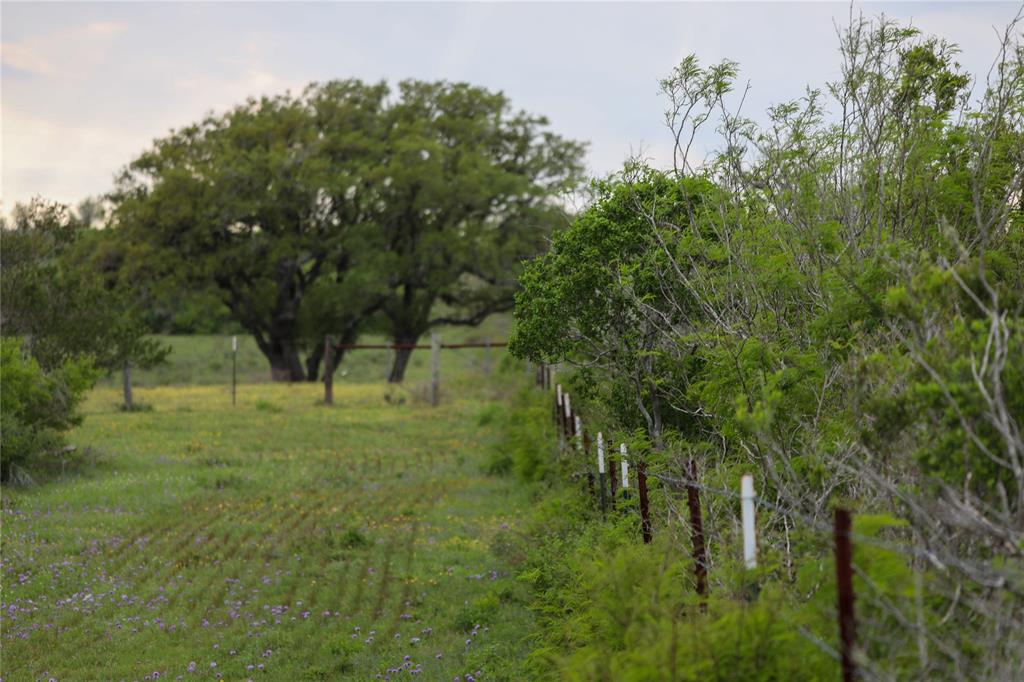 169 Bobwhite Trail, Beeville, Texas image 6