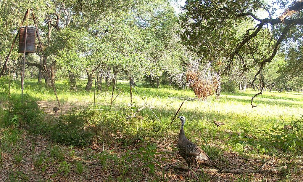 TBD3 County Road 19, Garwood, Texas image 3