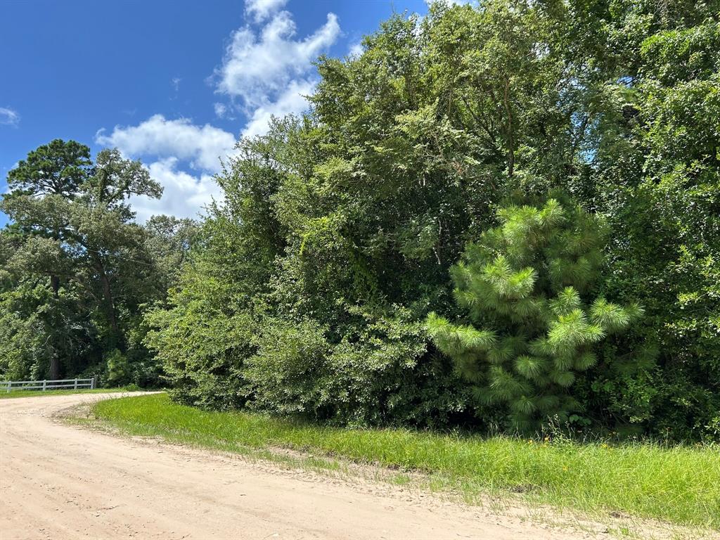87 Townley Ranch Road