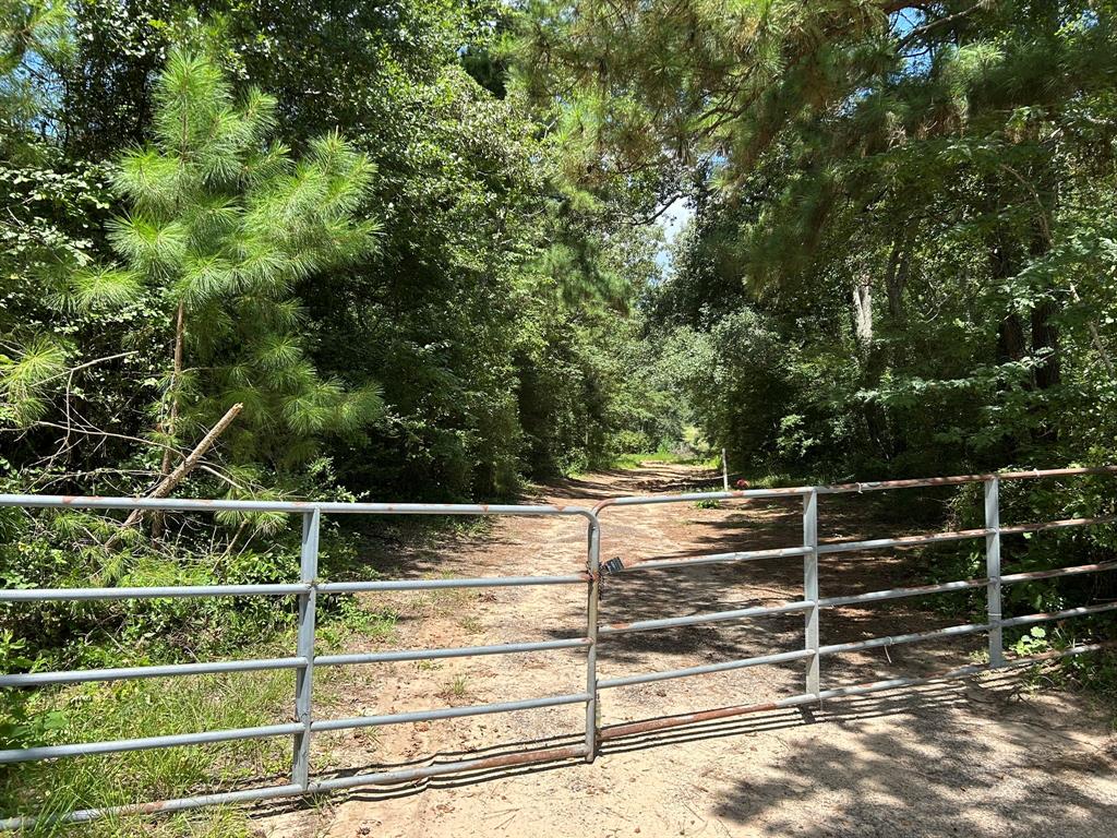 87 Townley Ranch Road