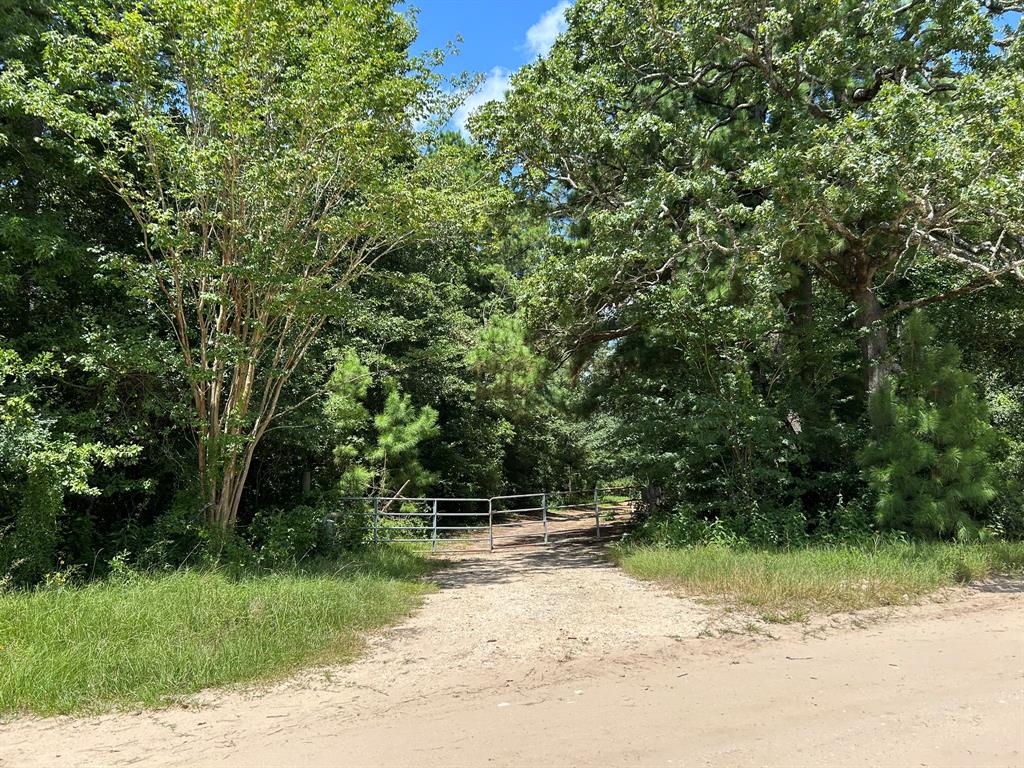 87 Townley Ranch Road