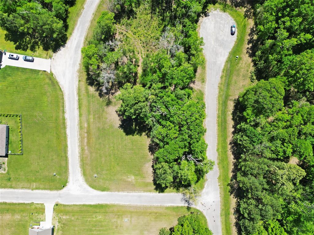 4 Drywood Lane, Huntsville, Texas image 7
