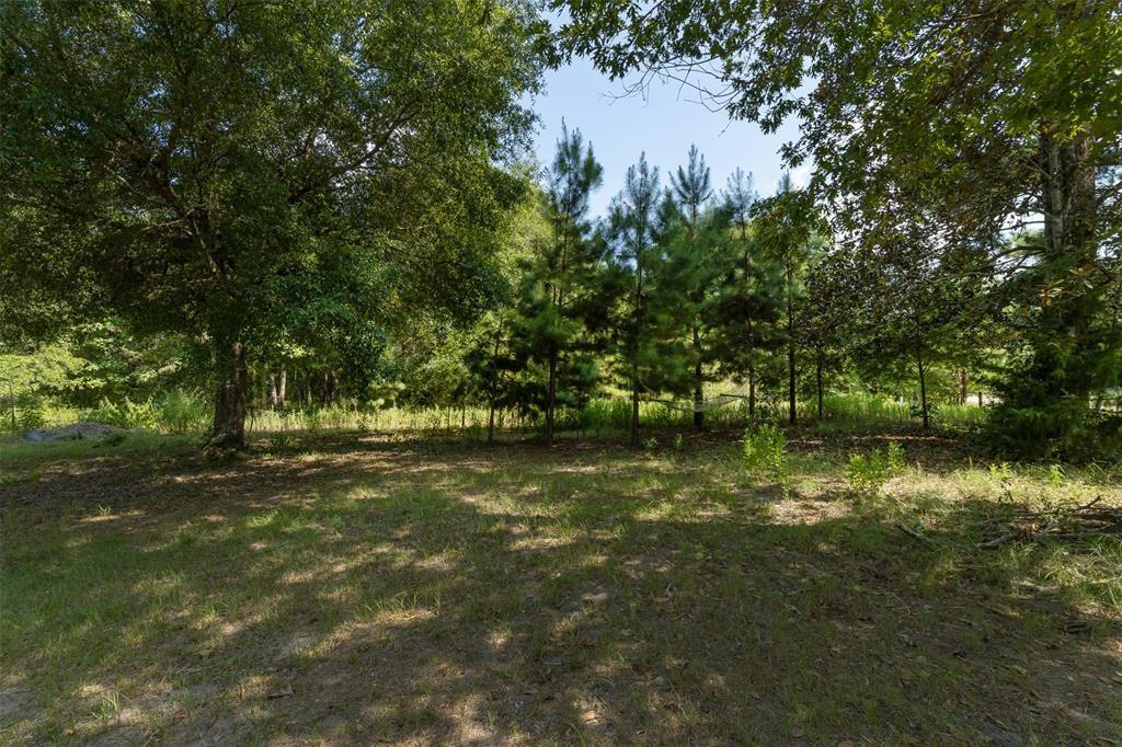 931 Trails End Drive, Cleveland, Texas image 4