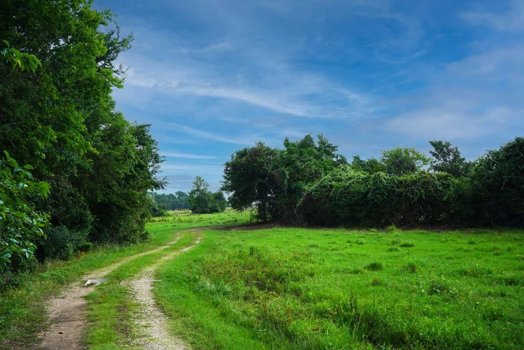 00081 Holle Lane