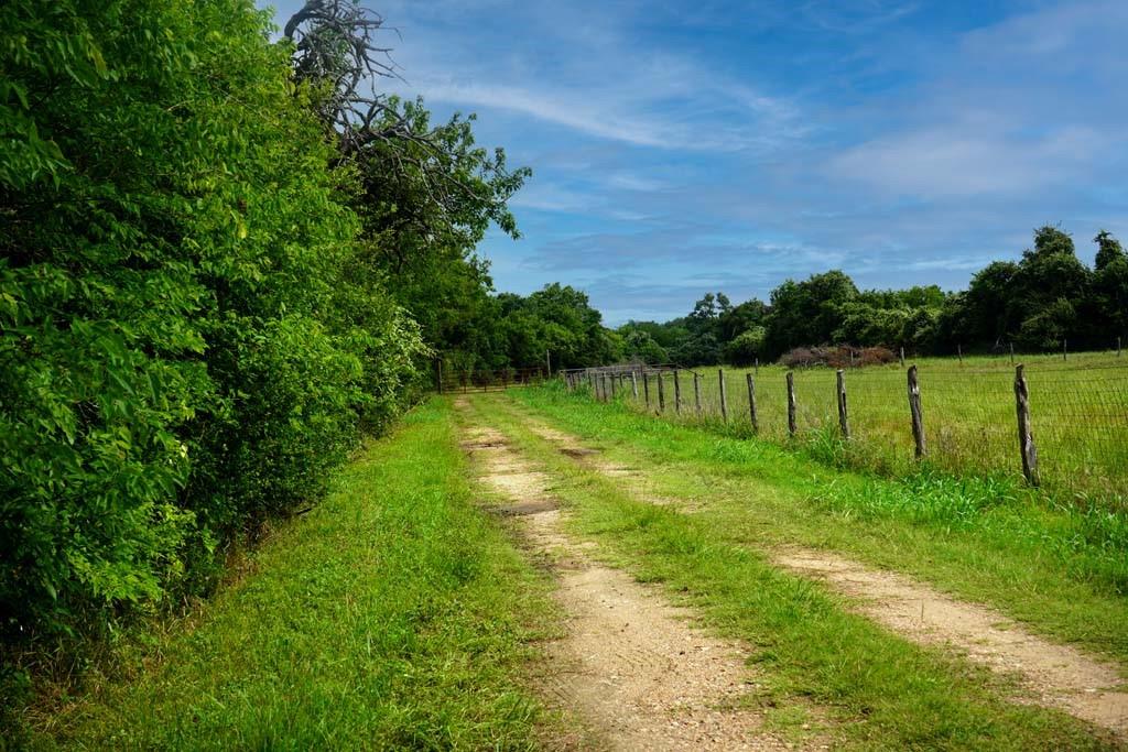 00081 Holle Lane