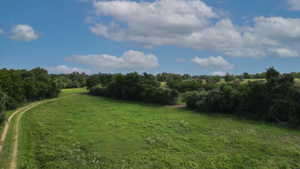 00081 Holle Lane
