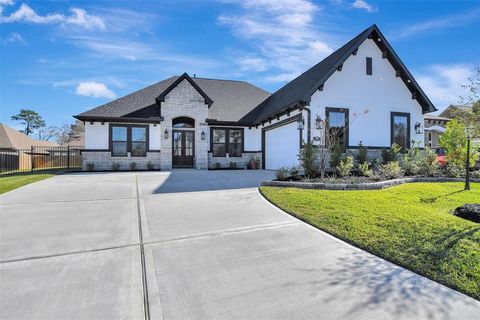 59 Camden Hills Drive Montgomery TX 77356