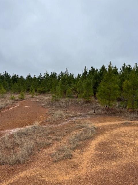 TBD Blackjack Road Tract 33, Livingston, Texas image 6