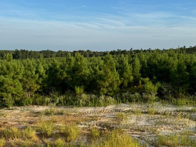 TBD Blackjack Road Tract 33, Livingston, Texas image 3