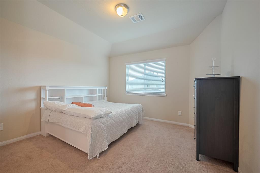 21315 Shadbush Avenue, Porter, Texas image 32