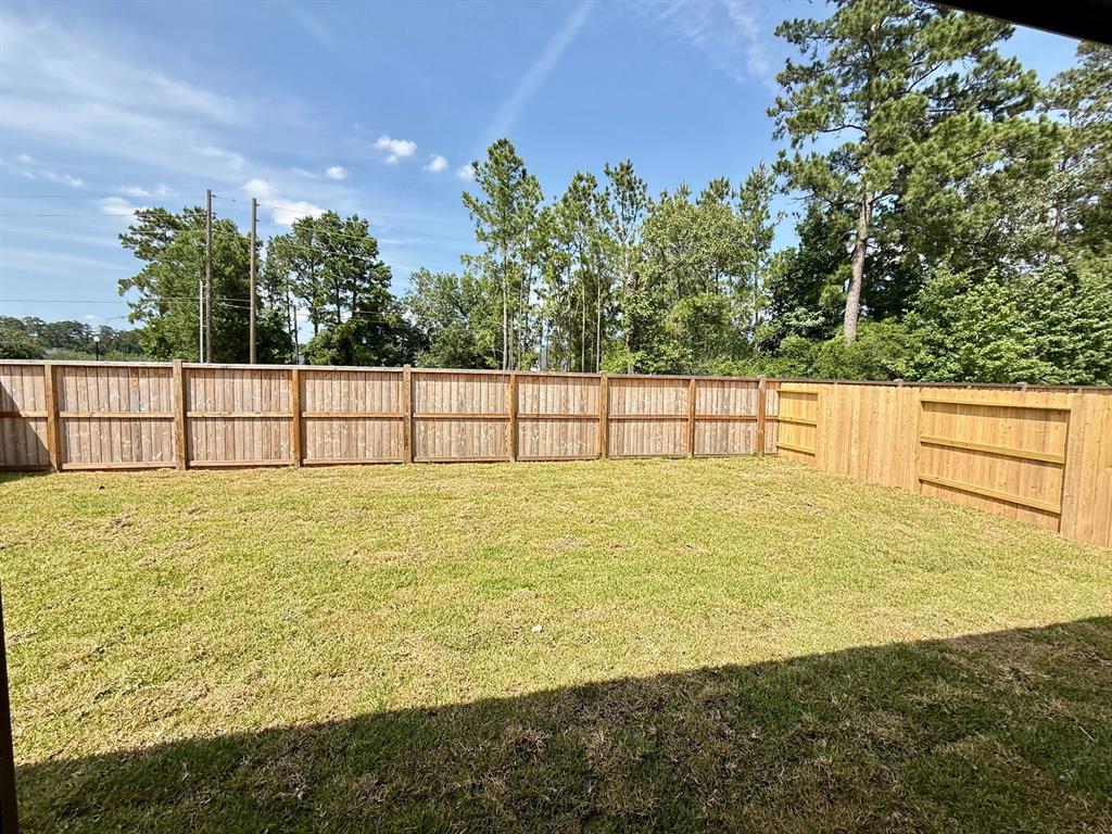 254 Springfield Terrace Court, Conroe, Texas image 16