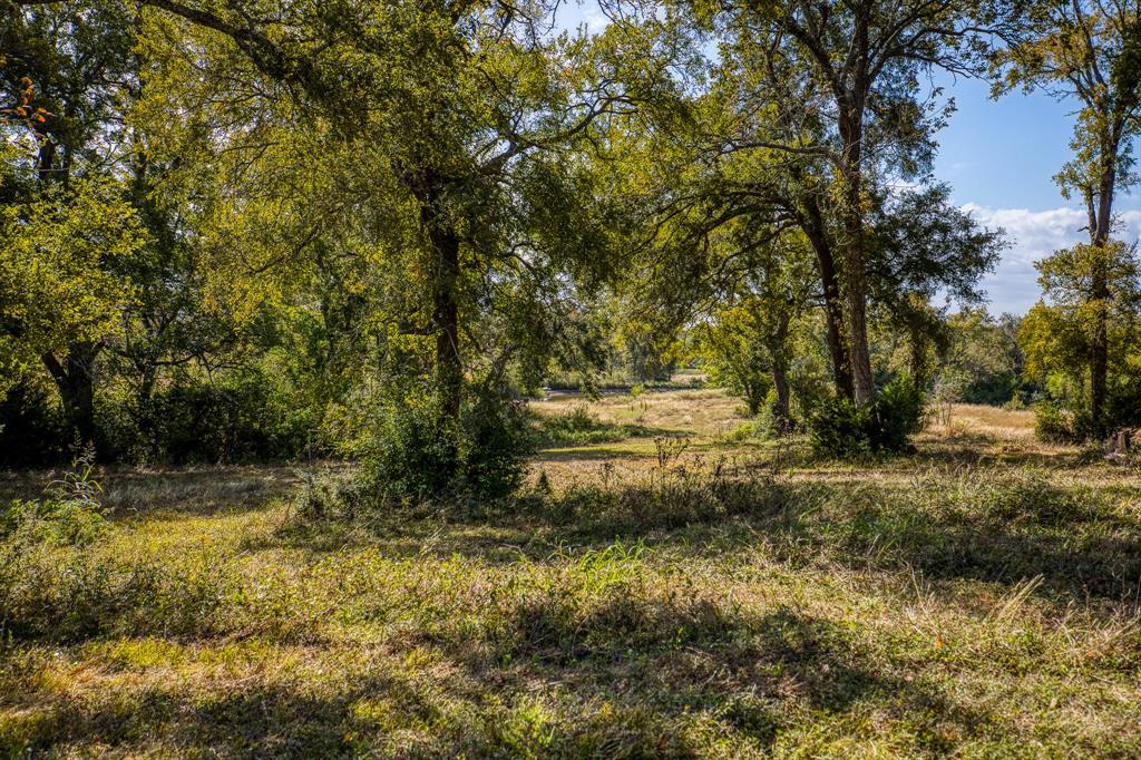 144 Century Lane, Bellville, Texas image 45