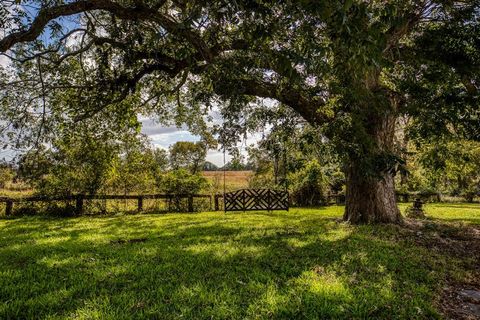 A home in Bellville