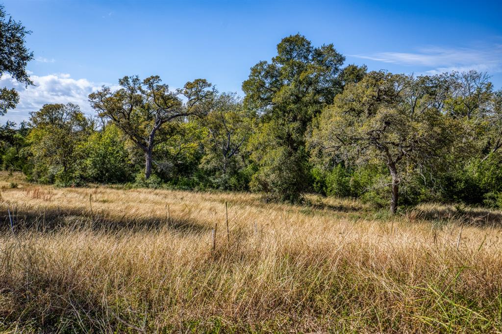 144 Century Lane, Bellville, Texas image 43