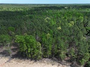 TBD Williamson Way, Lovelady, Texas image 3