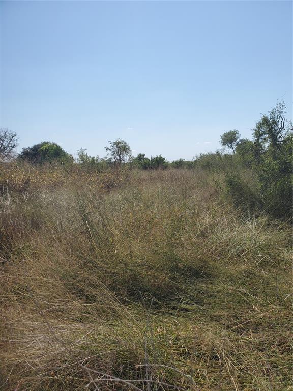 TBD County Road 249, Mathis, Texas image 2