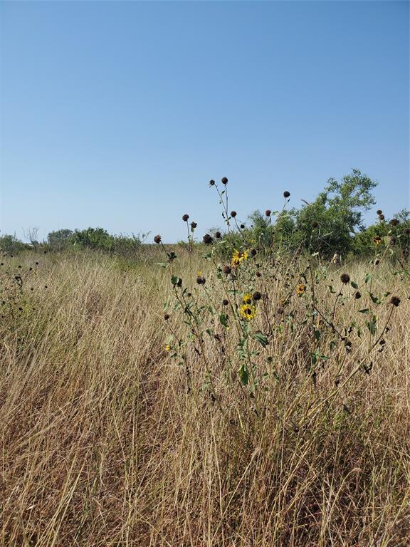 TBD County Road 249, Mathis, Texas image 3