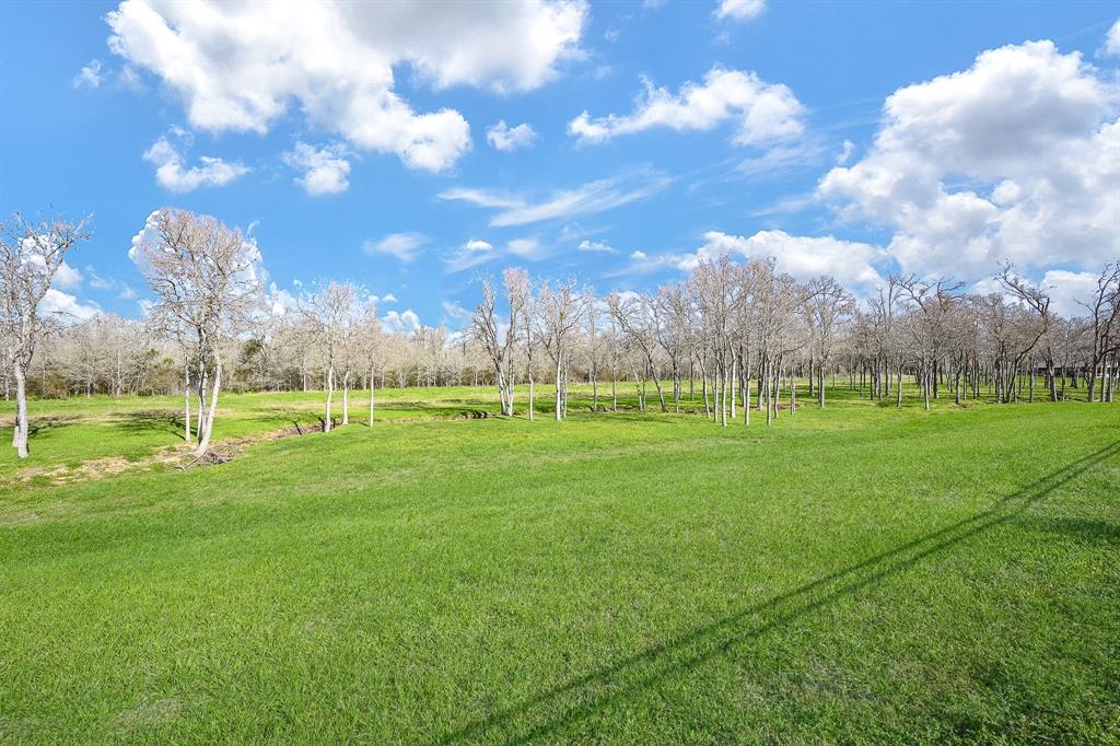 33010 Franklin Brooks Drive, Brookshire, Texas image 45