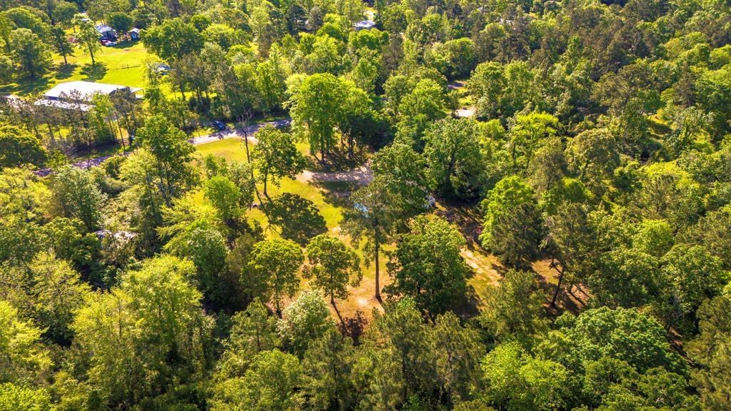 60 W Sierra Road, Coldspring, Texas image 22