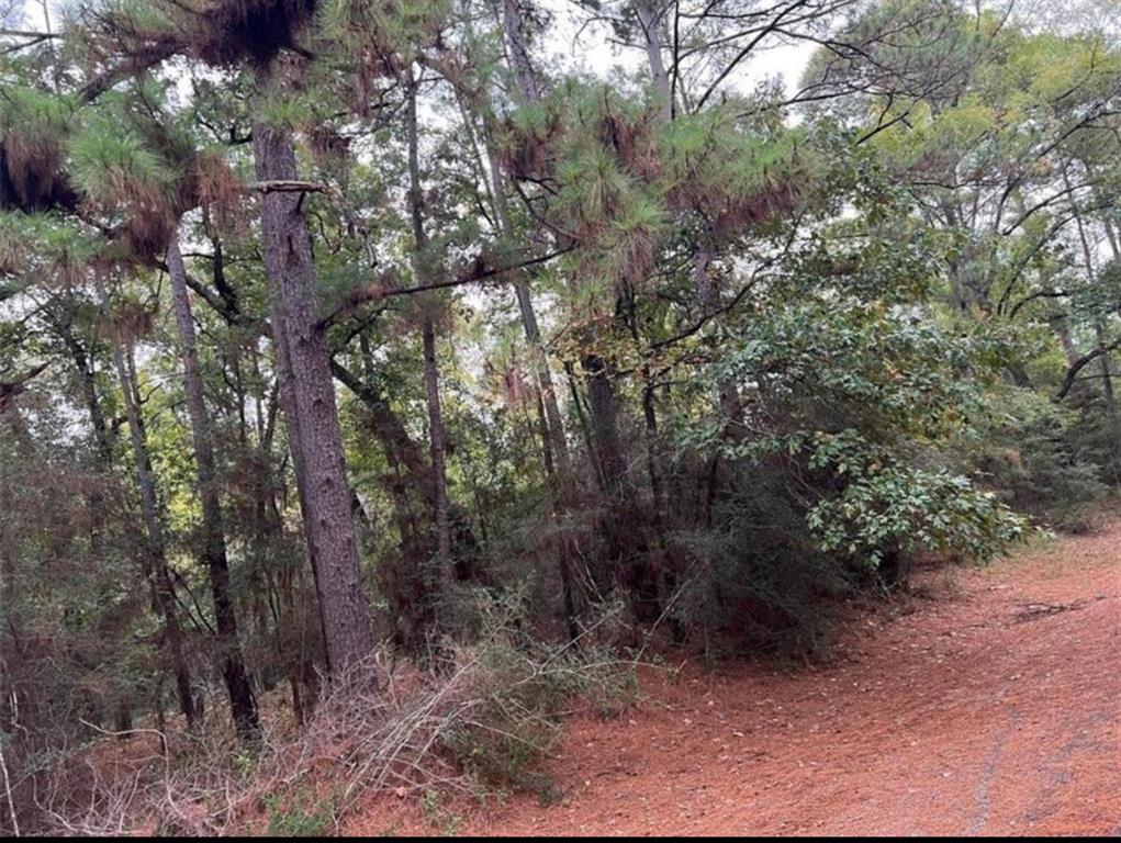 TBD Rustling Wind, Trinity, Texas image 6