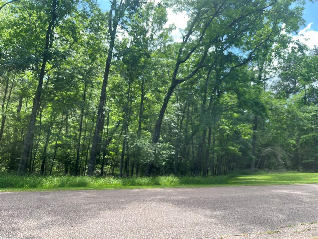 52 S Royale Greens Drive, Coldspring, Texas image 2