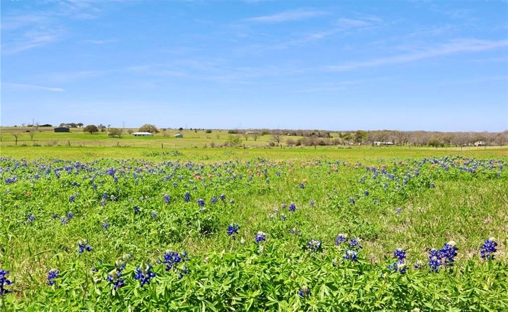 4430 Crestview Lane, Brenham, Texas image 28