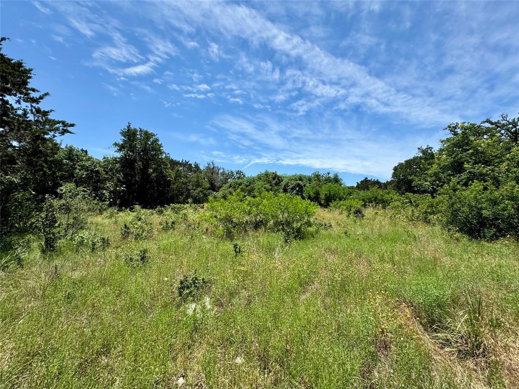 County Road 304, Bertram, Texas image 17