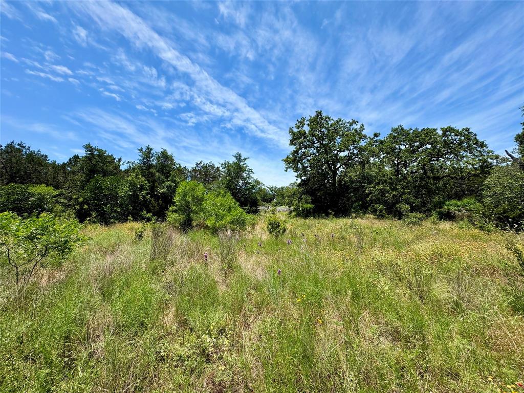 County Road 304, Bertram, Texas image 18