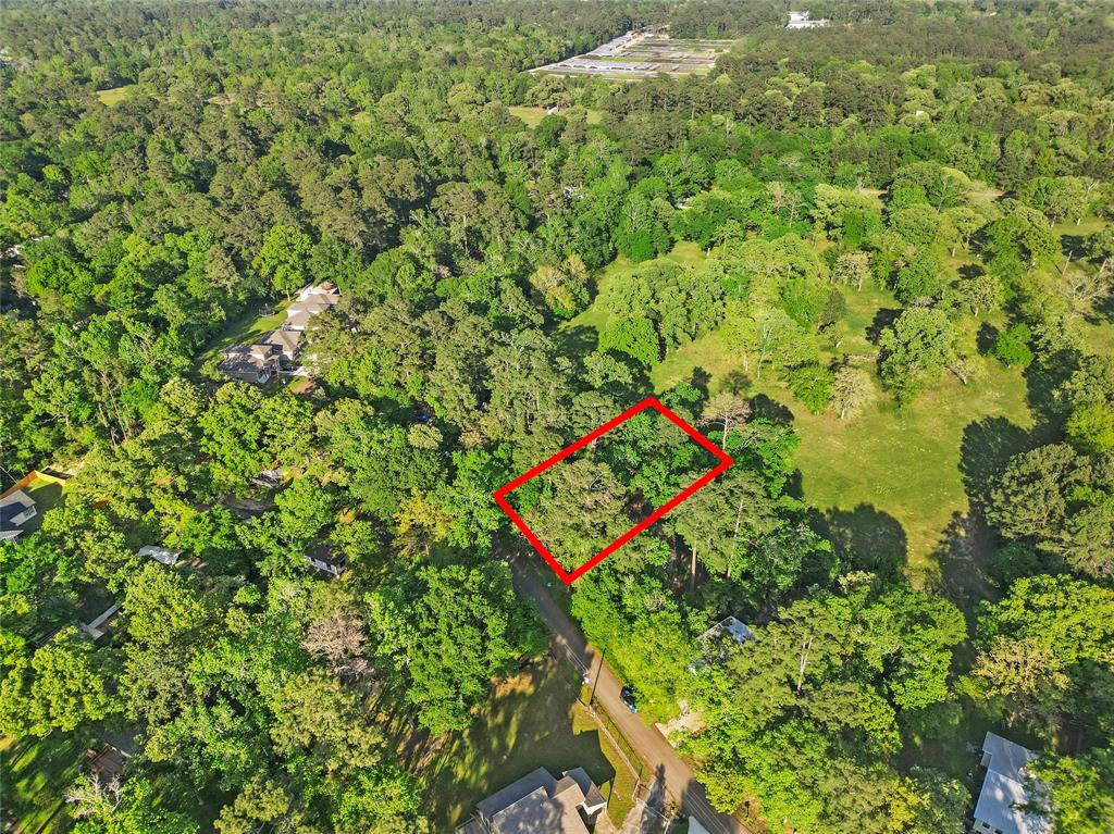 TBD Skylane Drive, Montgomery, Texas image 2